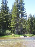 IMG_5913.jpg