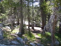 IMG_5919.jpg