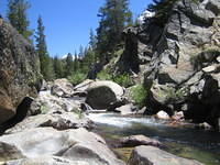 IMG_5921.jpg