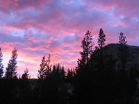 IMG_5938.jpg