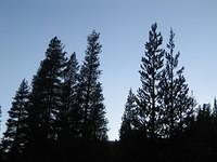 IMG_5947.jpg