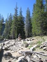 IMG_5954.jpg