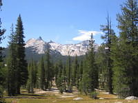 IMG_5964.jpg