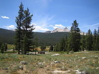 IMG_5965.jpg