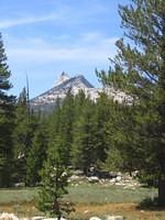IMG_5966.jpg