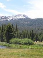 IMG_5971.jpg