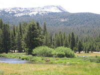 IMG_5972.jpg