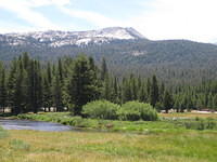 IMG_5973.jpg
