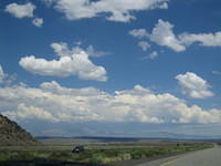 IMG_5976.jpg