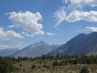 IMG_5979.jpg