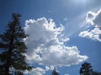 IMG_5980.jpg
