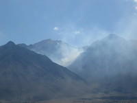 IMG_5984.jpg