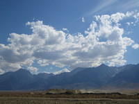 IMG_5985.jpg
