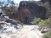 IMG_0723.jpg