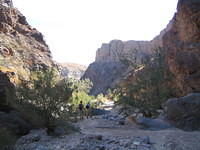 IMG_0729.jpg