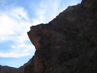 IMG_0730.jpg