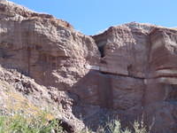 IMG_0731.jpg