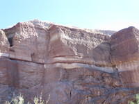 IMG_0732.jpg