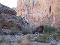 IMG_0736.jpg