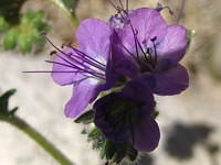 IMG_5955.jpg