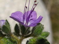 IMG_5957.jpg