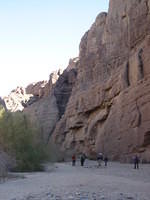 IMG_5962.jpg