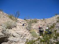 IMG_5975.jpg
