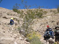 IMG_5976.jpg