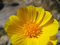 IMG_5977.jpg