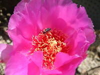 IMG_5987.jpg