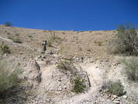 IMG_6011.jpg