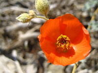IMG_6013.jpg