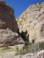 IMG_6019.jpg