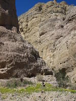 IMG_6020.jpg
