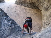 IMG_6027.jpg