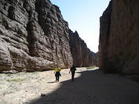 IMG_6036.jpg
