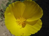 IMG_0939.jpg
