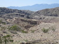 IMG_0970.jpg