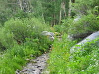 IMG_1552.jpg