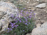 IMG_1554.jpg