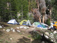 IMG_1556.jpg