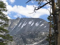 IMG_1572.jpg