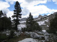 IMG_1579.jpg