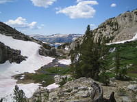 IMG_1614.jpg