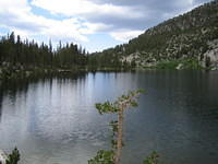 IMG_1625.jpg