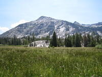IMG_1633.jpg