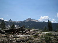 IMG_1635.jpg
