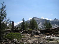 IMG_1636.jpg