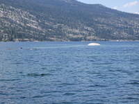 IMG_1647.jpg
