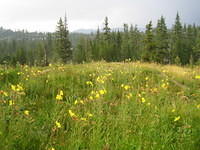 IMG_1659.jpg